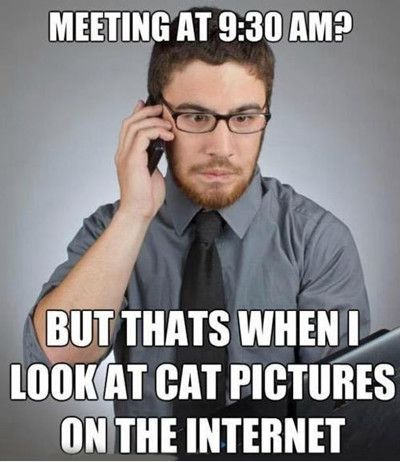 Funniest_Memes_meeting-at-930-am_797.jpeg